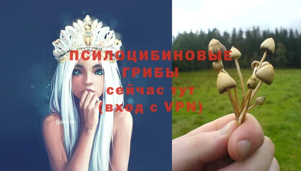 ALPHA PVP Волосово