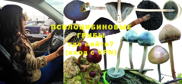стафф Володарск