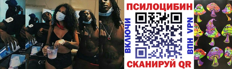 Псилоцибиновые грибы мухоморы  наркошоп  Заводоуковск 